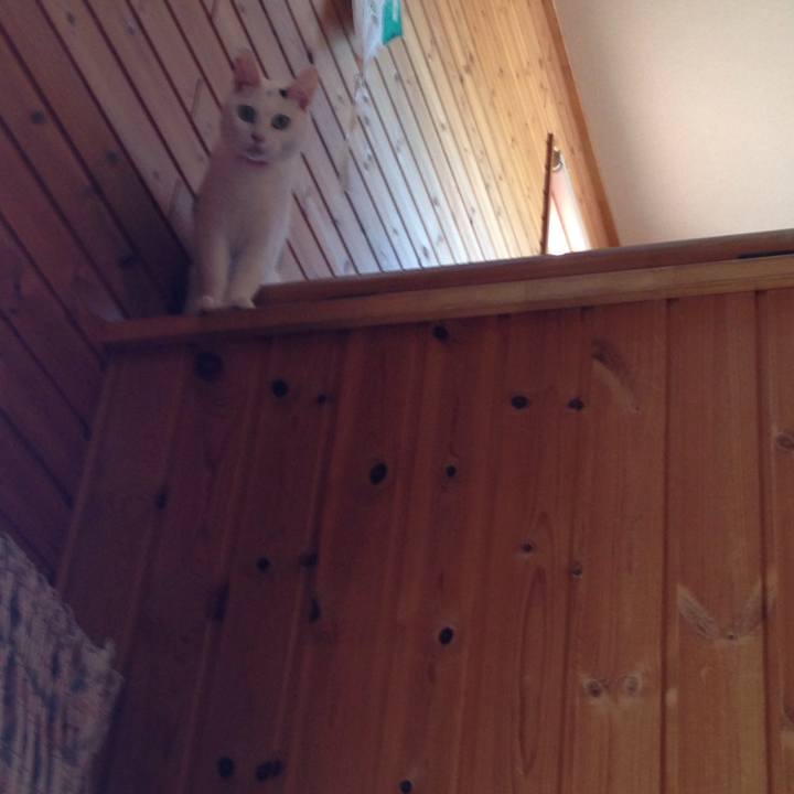 B57335be dcd1 4cbb 87f1 9b45f004a946