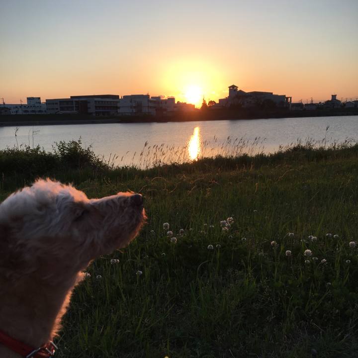 B5734212 4bb5 4964 afc4 4796b43c253b