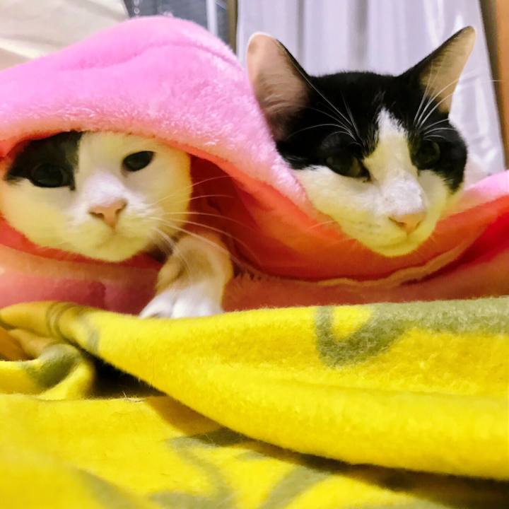 B573d688 f32e 4f8e bccc 8e24f4f9b97f