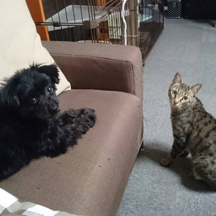 B57404ba c552 4b31 b2e3 1efd98d7bc88