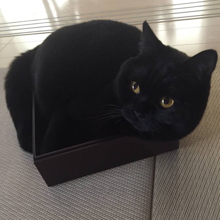 B5745e94 cd67 43da 8741 7d76ad8dcbe2