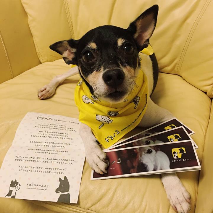 B574a9e7 786f 4eec b94f 15c44d93308b