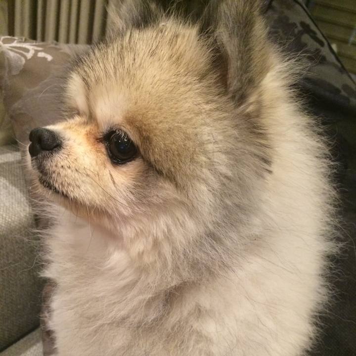 B57577b3 93cb 42b2 b8bb 8fe6fcdd5b40