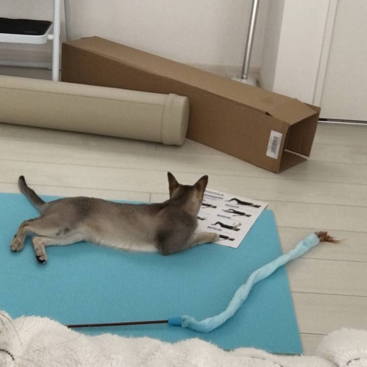 B575d167 f4c1 4b20 9af4 c3a68cfd3a87