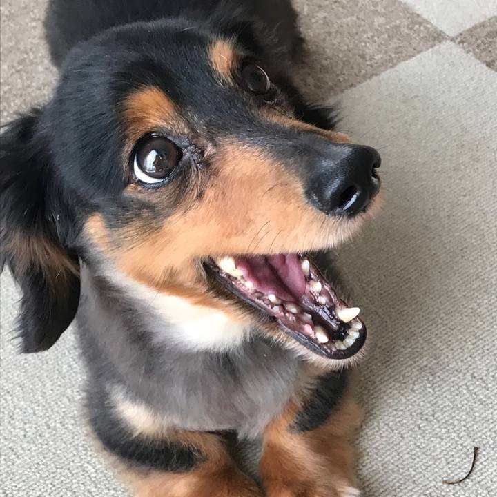 B576af7d cedb 43df 87df e8e1a543d0d9