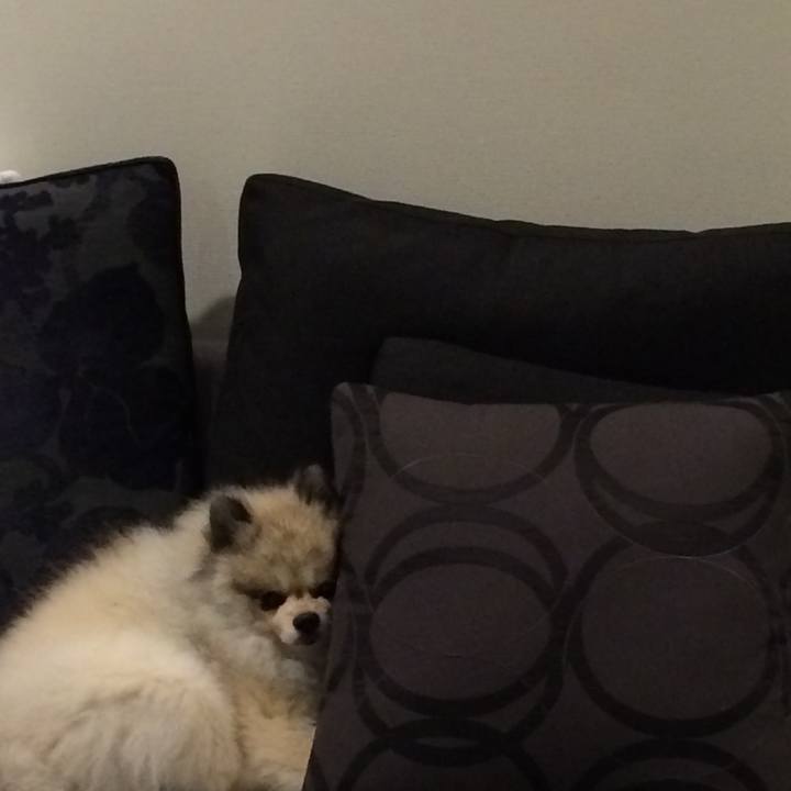 B5773a72 231a 4beb 94a3 a74b0cc69884