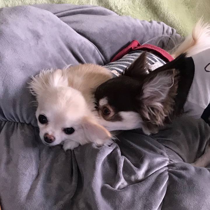 B577c01b a0cc 473c 88fb 4136af89011d