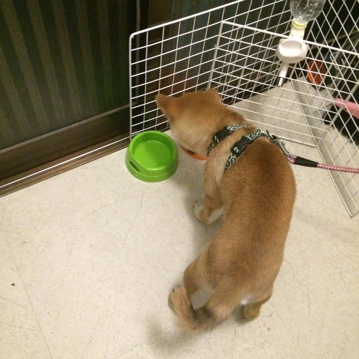 B5791d28 a2c9 4030 985a fd81ca5fc353