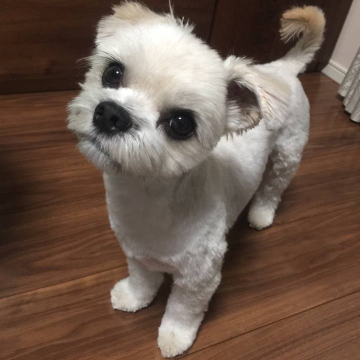 B579b9f3 b365 4ab4 b101 1e496760529c