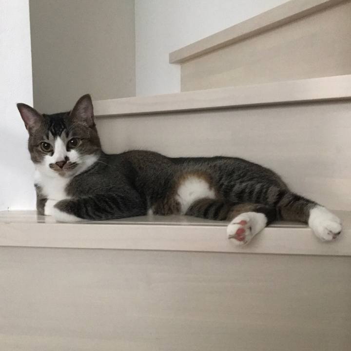 B579c3bf 96c2 45c9 a017 714af8527ad0