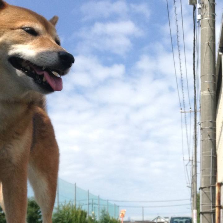 B57a3097 5ee3 47c1 a40a 7498615182a1