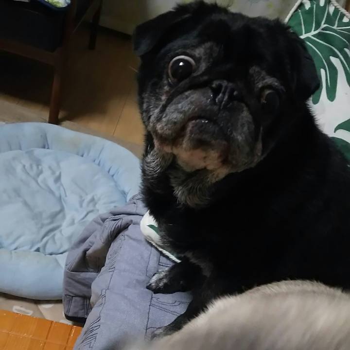 B57a8100 ff63 4d81 bda9 7300dfd13766