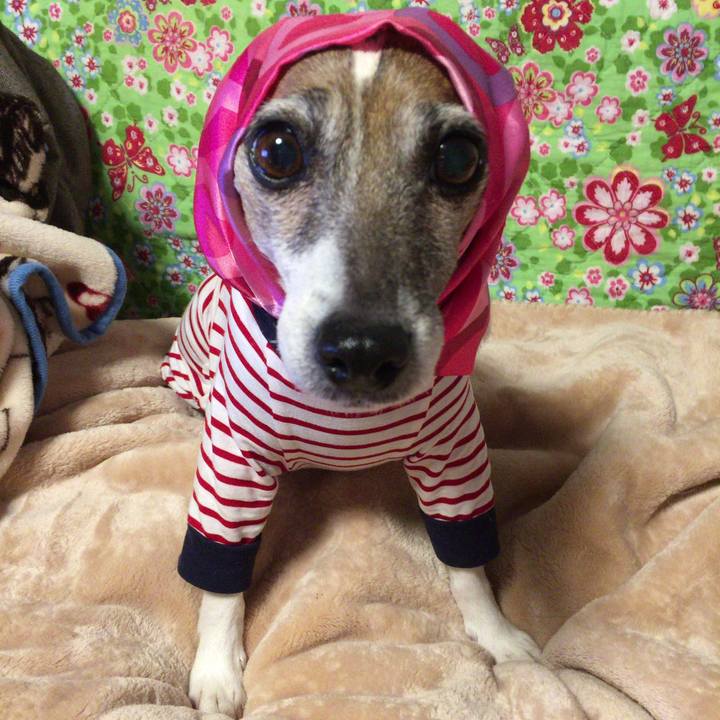 B57aad74 834f 49cc acaa 5bc2c13c7772