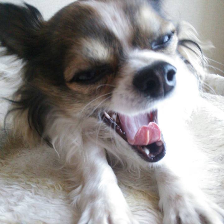 B57b155d 6c7d 416e bd9e 110f0ee8d068