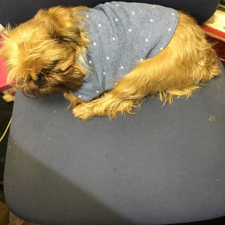 B57b20b2 bd62 49a4 8de6 05578ce917aa