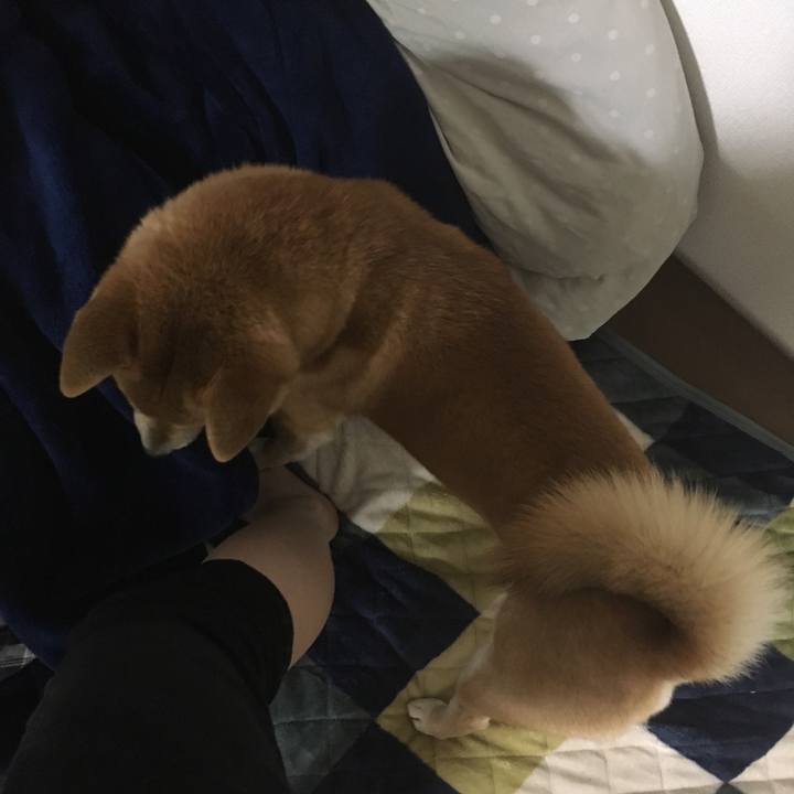 B57b94da 85ea 4a28 b8c2 823ae4e3c5eb