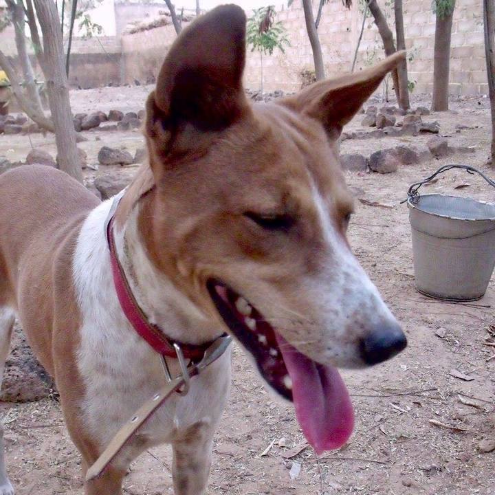 B57b9639 14bc 4165 b6da bfb129b06390