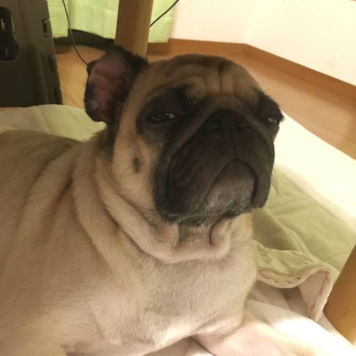 B57ba07b 4a26 424d 90ed f492b80b9a7b