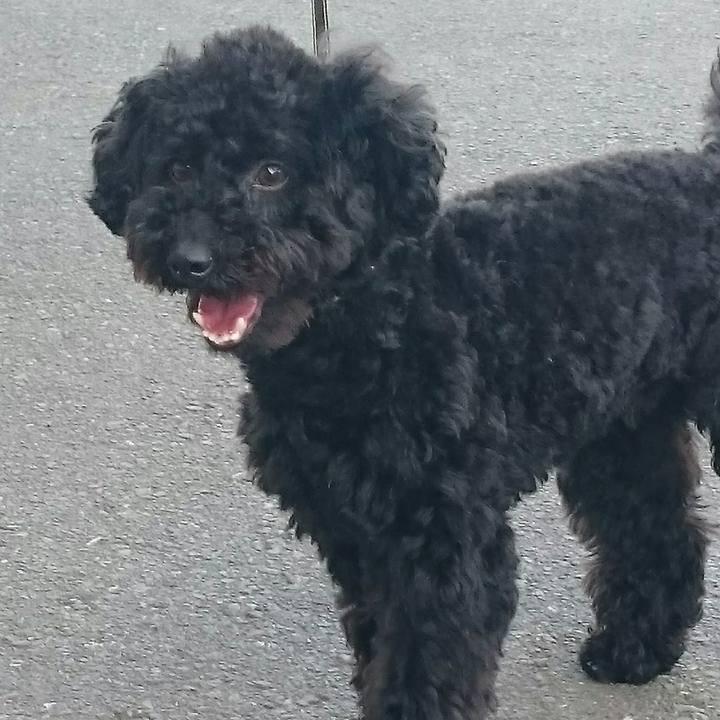 B57c2d88 6067 4fba 8f73 d5b956304f3c