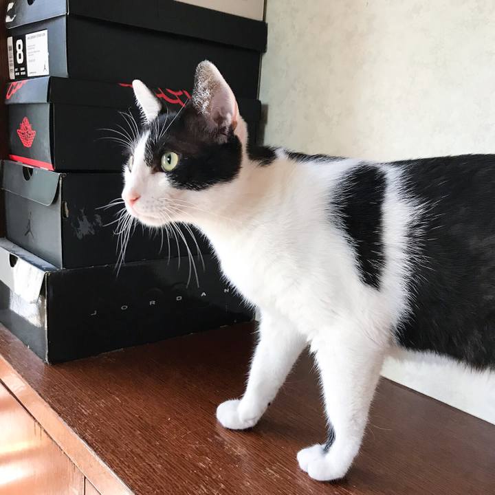 B57c4559 f62a 47a9 8181 869432674199