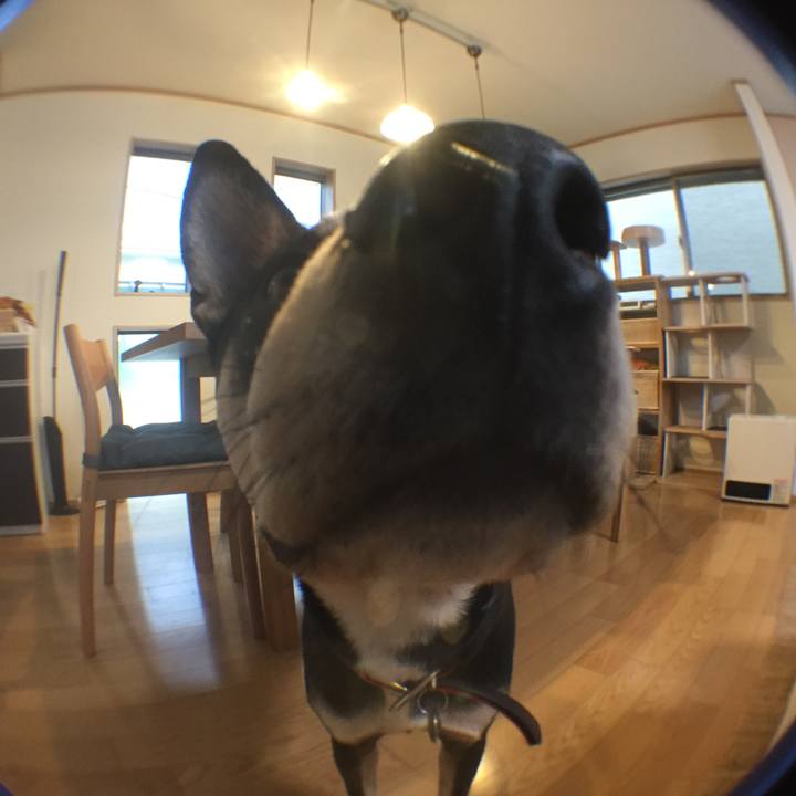 B57cfa62 5dd3 4d24 9a22 5804e663c554