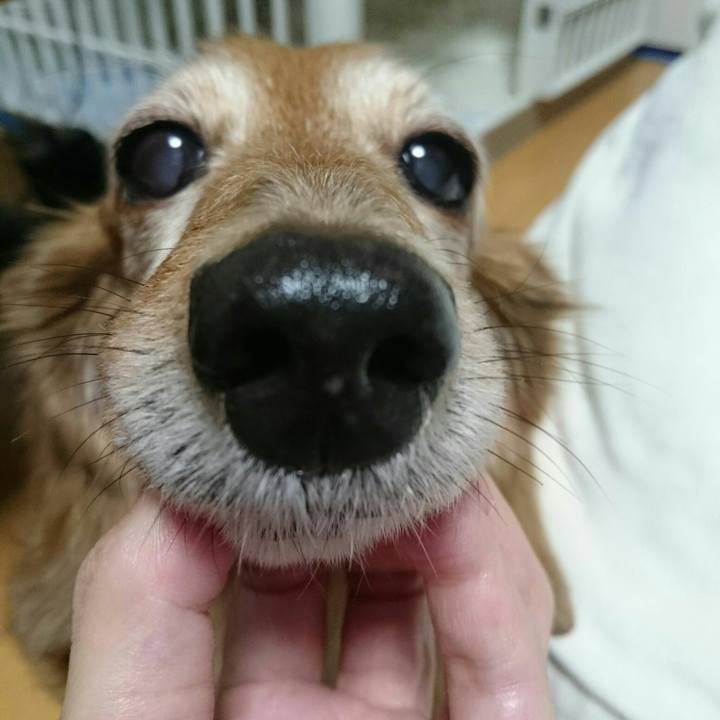 B57d4976 8ccb 4c26 9bc5 5eee725ab1c5