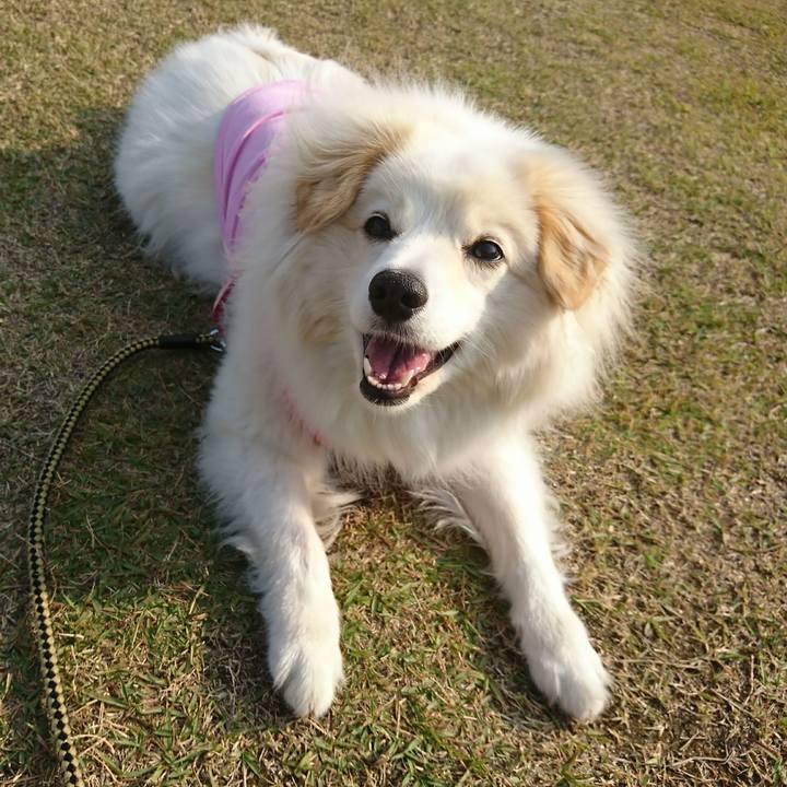 B57d5489 26f7 41d4 a85a b73ba99472bd