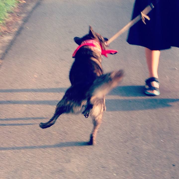 B57d7d9e dfd9 40e6 8078 082ca66b25c6