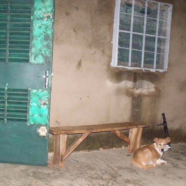 B57d80d6 03e8 47ec a2d8 9358e7e12c49