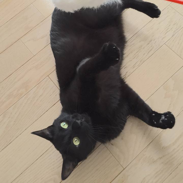 B57dfab8 a735 490a a360 7adeb7195f1e