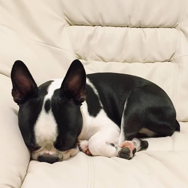 B57e0746 b9a9 4fc4 a07f 12dd29619862