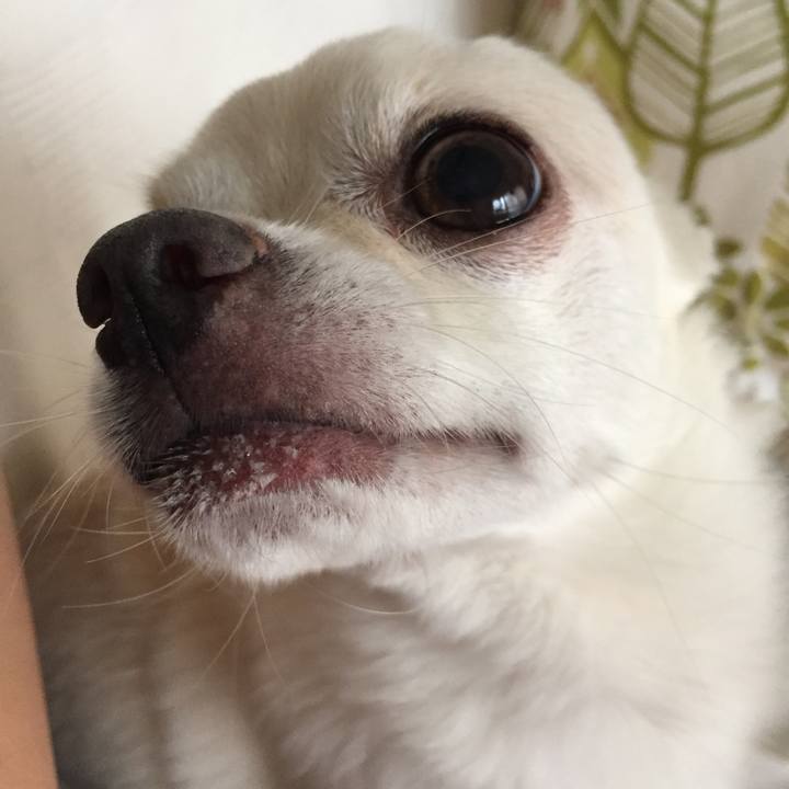 B57f20ed 091c 4816 93a5 3039a6b5d260