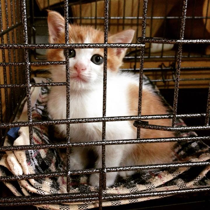 B57f24ad 41b2 4b96 9a59 2e6f9fd264d7