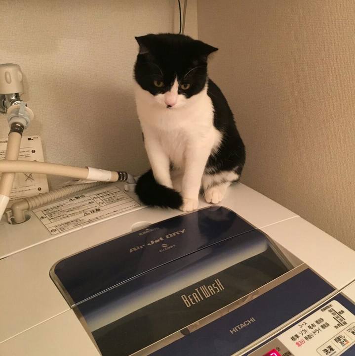 B57fba83 00f0 421f bebf 1da93ba1d92a