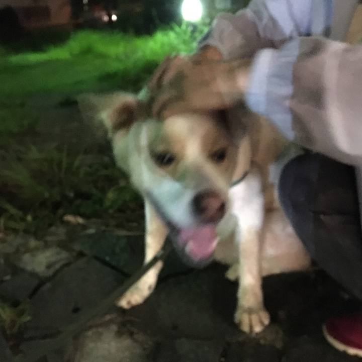 B57fbbb3 bc0b 478f 89dc 37d87fbe54c4