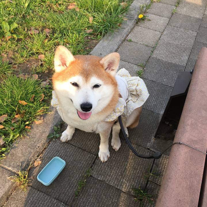 B57fea27 bb70 4f5e b4d8 6c548ebd0f58