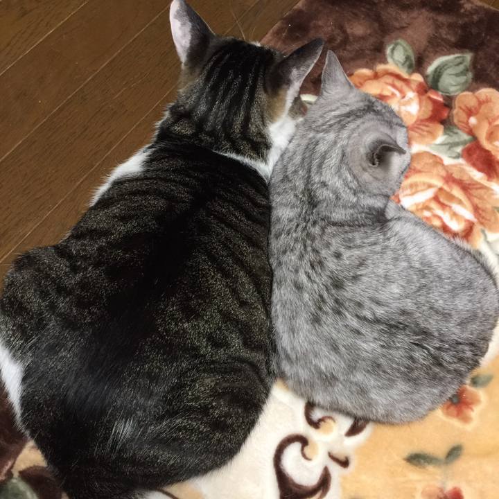 B5800e5b 8a19 4ddf b5e8 9c928432df26