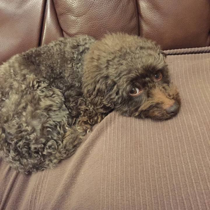 B5808830 18c0 4fe2 8e57 afb4088cef29