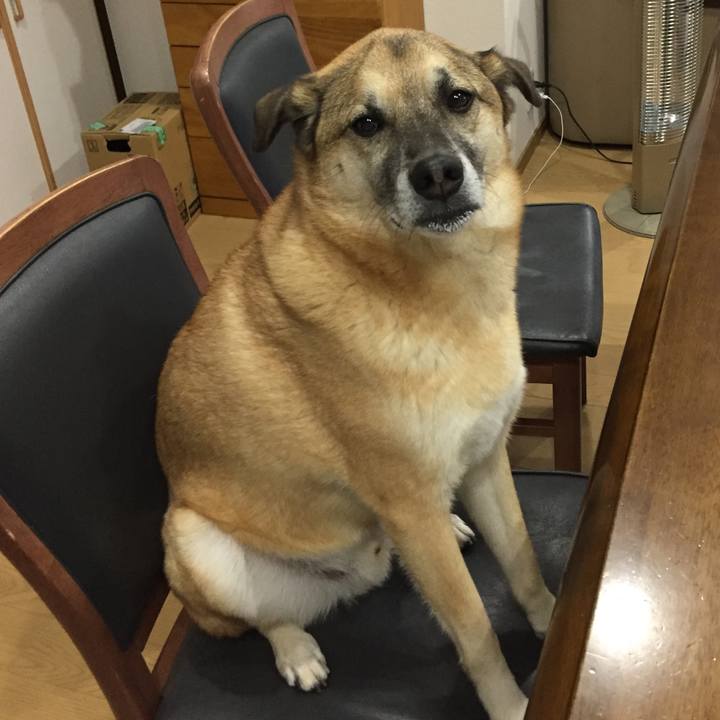 B58131df 5be2 4335 a587 476d935c2d78