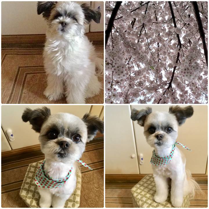 B581a8e3 d12a 4bd7 8553 903a0eec26ef