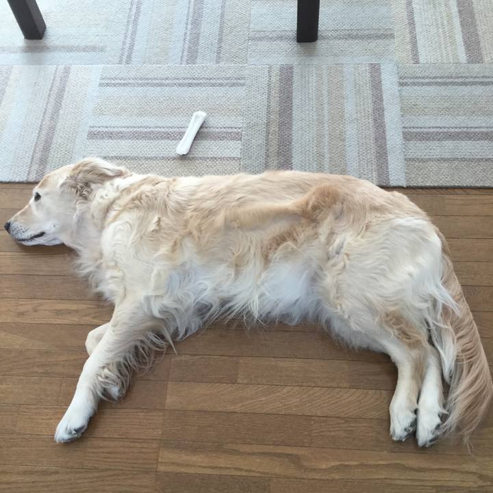 B581ebe4 a59d 4336 93b9 ba973f8a2448