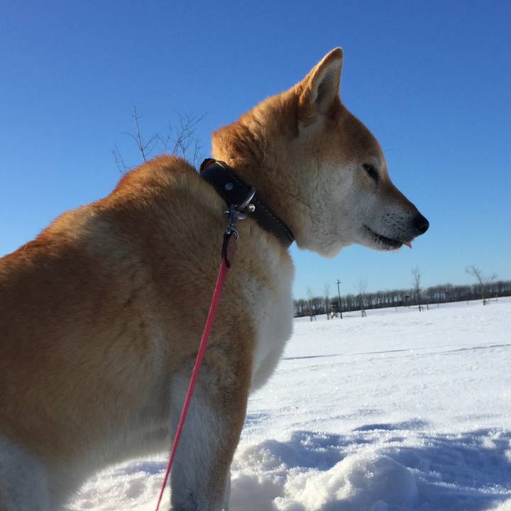 B58259d6 3459 46dd be76 0085392c2e83