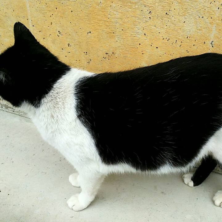 B582d3f4 3256 4dd3 bbd2 05cf84432571