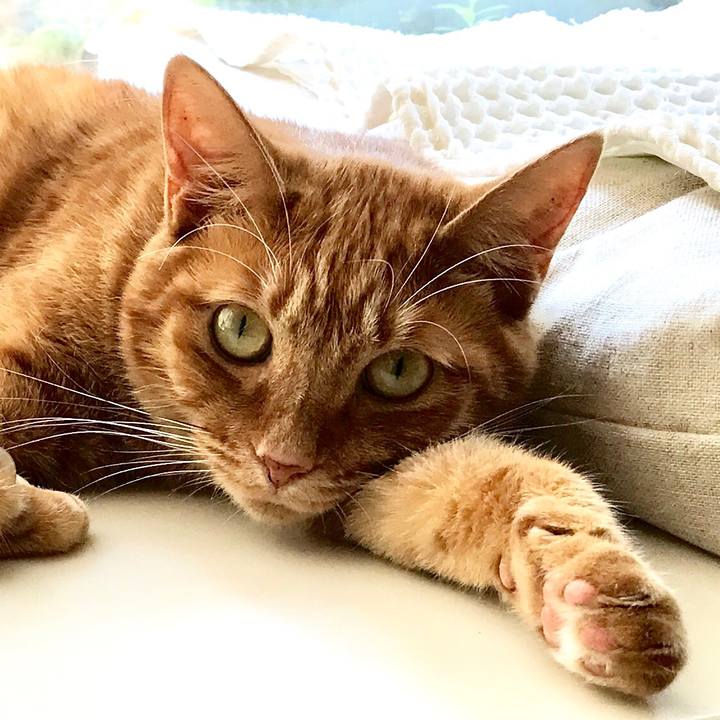 B58306fa 38f8 4cdc 8f12 d9d00a324d8b