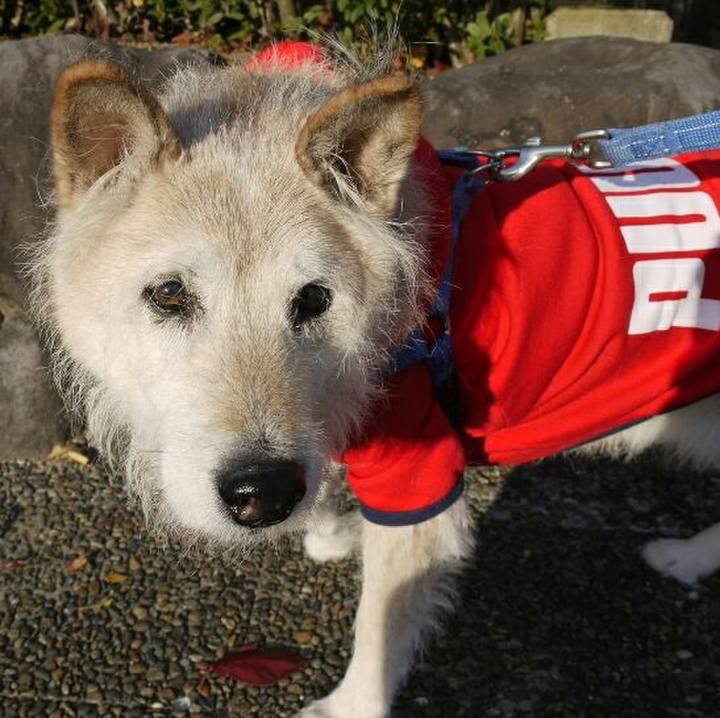 B583e14f bb57 45ab 8331 4c8f3b4659e8