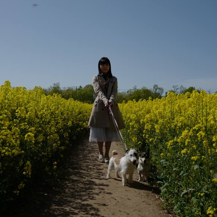 B583ea8e a110 477b 9bf6 7844c98f99f1