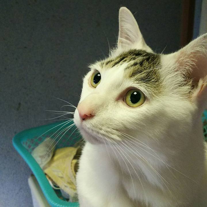 B5846388 1b43 4879 9abf 56e97ed3a1d3