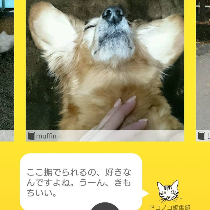 B5846c75 1d20 47b2 8482 a48b7a85407f