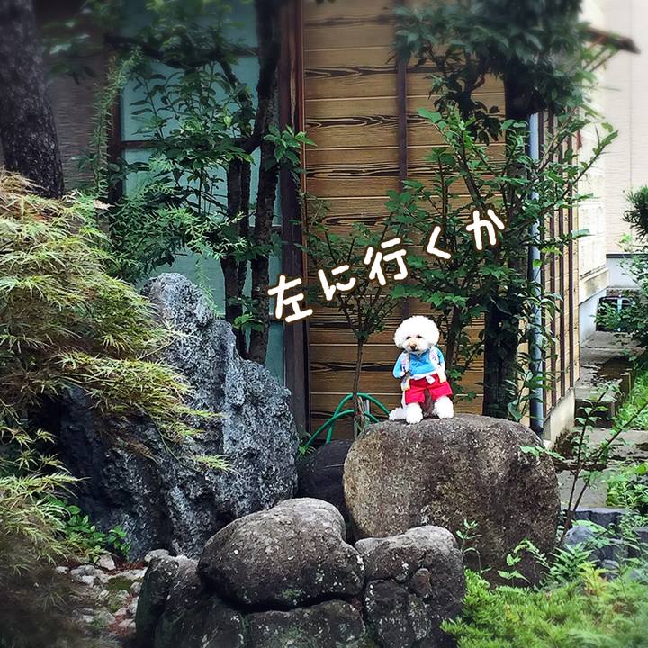 B584829a 1efb 4b4e 8f6e cc1542f1f242