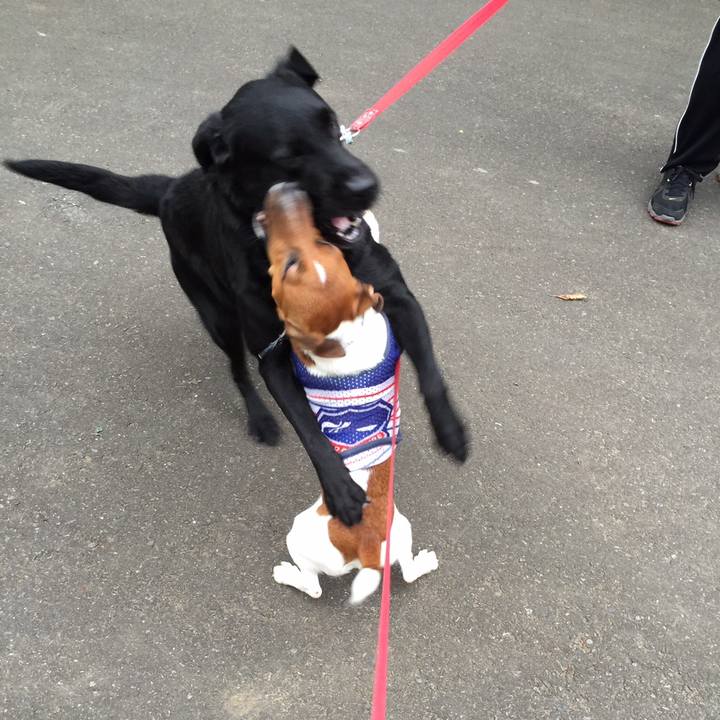 B584876b c432 49a5 b32e 0d92e84f614d